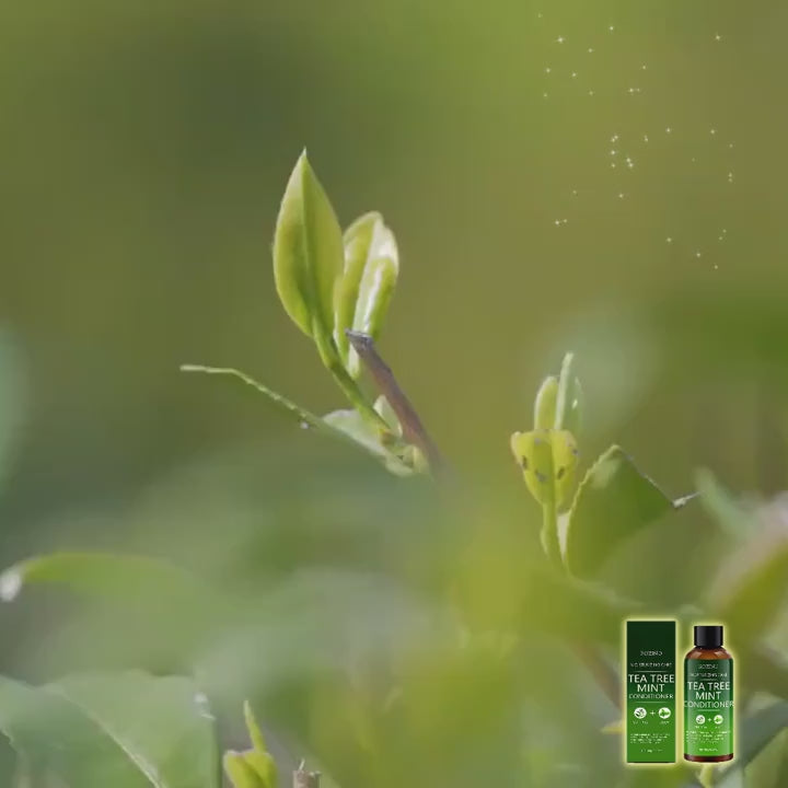 TEA TREE OIL :Conditioner