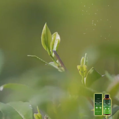 TEA TREE OIL :Conditioner
